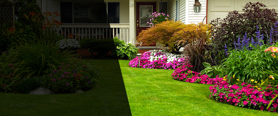 Clarkson Landscapers